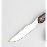 Нож BUCK 0543RWS OPEN SEASON CAPER B0543RWS